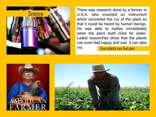 There was research done by a farmer in
U.S.A. who invented an instrument
which converted the cry of the plant so
that it could be heard by human beings.
He was able to realize immediately
when the plant itself cried for water.
Latest researches show that the plants
can even feel happy and sad. It can also
cry.

 