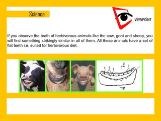 If you observe the teeth of herbivorous animals like the cow, goat and sheep, you
will find something strikingly similar in all of them. All these animals have a set of
flat teeth i.e. suited for herbivorous diet.

 