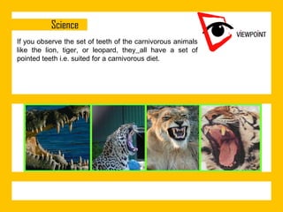 If you observe the set of teeth of the carnivorous animals
like the lion, tiger, or leopard, they all have a set of
pointed teeth i.e. suited for a carnivorous diet.

 
