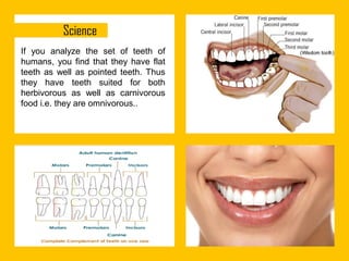 If you analyze the set of teeth of
humans, you find that they have flat
teeth as well as pointed teeth. Thus
they have teeth suited for both
herbivorous as well as carnivorous
food i.e. they are omnivorous..

 