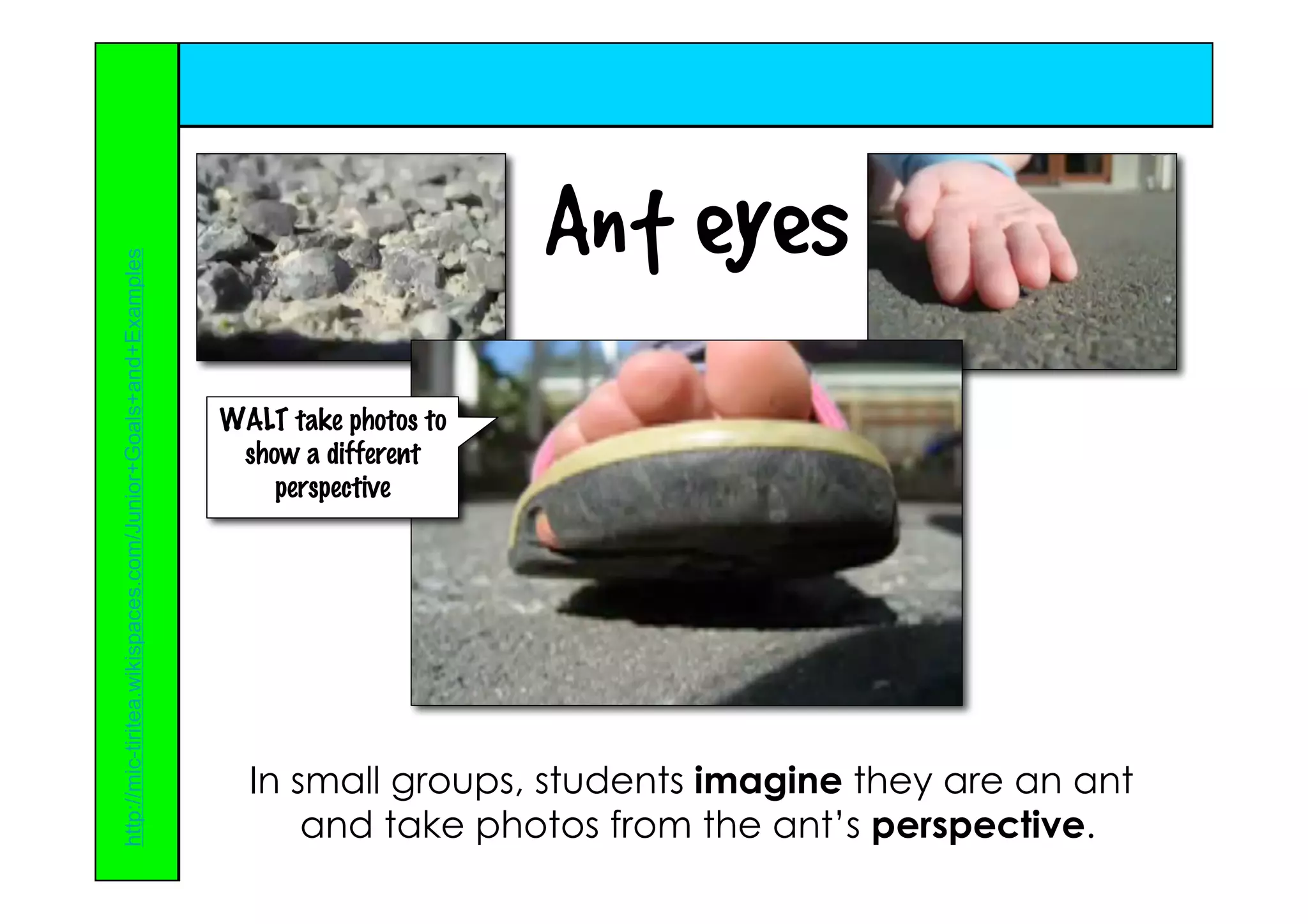 Ideas For Using The Digital Camera In The Primary Classroom   Rachel Boyd