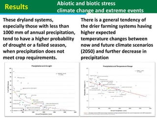 Geographic priorities for research and development on dryland cereals and legumes (DCL)