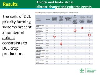 Geographic priorities for research and development on dryland cereals and legumes (DCL)
