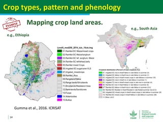 Geographic priorities for research and development on dryland cereals and legumes (DCL)