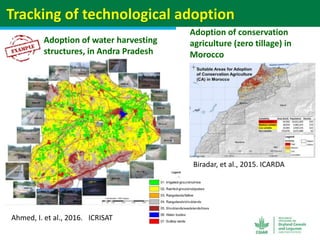 Geographic priorities for research and development on dryland cereals and legumes (DCL)