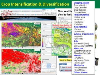 Geographic priorities for research and development on dryland cereals and legumes (DCL)