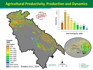 Geographic priorities for research and development on dryland cereals and legumes (DCL)