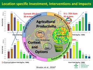 Geographic priorities for research and development on dryland cereals and legumes (DCL)