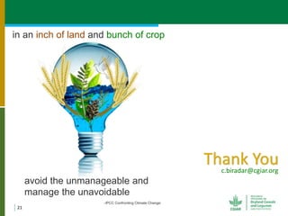 Geographic priorities for research and development on dryland cereals and legumes (DCL)