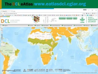 Geographic priorities for research and development on dryland cereals and legumes (DCL)