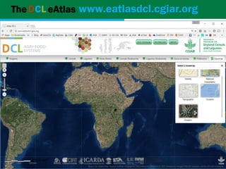Geographic priorities for research and development on dryland cereals and legumes (DCL)