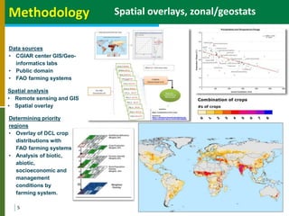 Geographic priorities for research and development on dryland cereals and legumes (DCL)