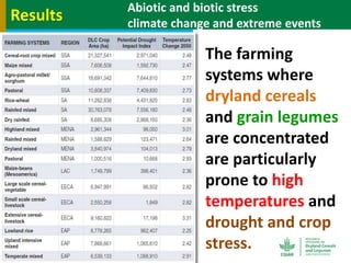 Geographic priorities for research and development on dryland cereals and legumes (DCL)