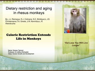 Dietary restriction and aging in rhesus monkeys By: J.J. Ramseya, R.J. Colmana, N.C. Binkleya,b, J.D. Christensena,T.A. Gresla, J.W. Kemnitza,c, R. Weindrucha Caloric Restriction Extends Life in Monkeys “Eat Less You Will Live Longer” Name: QossayTakroori Professor: Dr.JefferyRothweiler Class: Human Growth and Development 