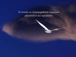 No mundo, as criaturas padecem vergastadas
pelo vendaval das suas paixões.
 