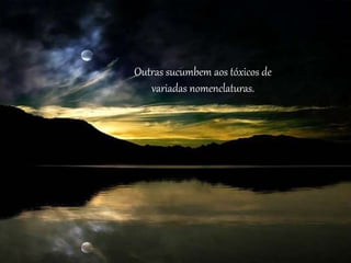 Outras sucumbem aos tóxicos de
variadas nomenclaturas.
 