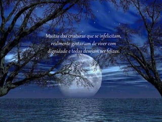Muitas das criaturas que se infelicitam,
realmente gostariam de viver com
dignidade e todas desejam ser felizes.
 
