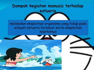 Dampak kegiatan manusia terhadap
estuaria
melakukan eksploitasi organisme yang hidup pada
wilayah estuaria tersebut serta eksploitasi
habitatnya
 
