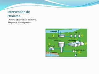Intervention de l’hommeL’homme a besoin d’eau pour vivre.Il la puise et la rend potable. 