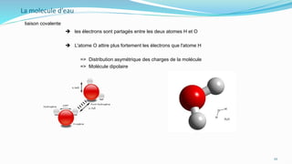 La molecule d’eau
liaison covalente
 les électrons sont partagés entre les deux atomes H et O
 L'atome O attire plus fortement les électrons que l'atome H
=> Distribution asymétrique des charges de la molécule
=> Molécule dipolaire
22
 
