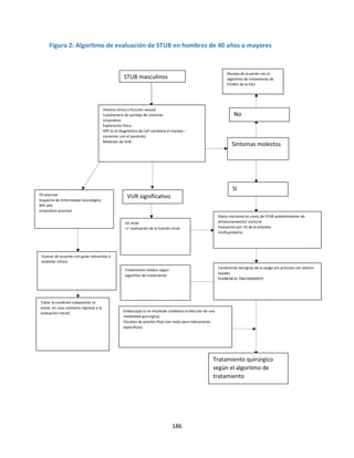 186
Figura 2: Algoritmo de evaluación de STUB en hombres de 40 años o mayores
STUB masculinos
Manejo de acuerdo con el
algoritmo de tratamiento de
STUBm de la EAU
Historia clínica (+función sexual)
Cuestionario de puntaje de síntomas
Uroanálisis
Exploración física
APE (si el diagnóstico de CaP cambiará el manejo –
comentar con el paciente)
Medición de VUR
TR anormal
Sospecha de enfermedad neurológica
APE alto
Uroanálisis anormal
Evaluar de acuerdo con guías relevantes o
estándar clínico
Tratar la condición subyacente (si
existe, en caso contrario regresar a la
evaluación inicial)
Endoscopía (si el resultado cambiaría la elección de una
modalidad quirúrgica)
Estudios de presión-flujo (ver texto para indicaciones
específicas)
Condiciones benignas de la vejiga y/o próstata con valores
basales
PLANEAR EL TRATAMIENTO
Diario miccional en casos de STUB predominantes de
almacenamiento/ nocturia
Evaluación por US de la próstata
Uroflujometría
US renal
+/- evaluación de la función renal
Tratamiento médico según
algoritmo de tratamiento
VUR significativo
Sí
Síntomas molestos
No
Tratamiento quirúrgico
según el algoritmo de
tratamiento
 