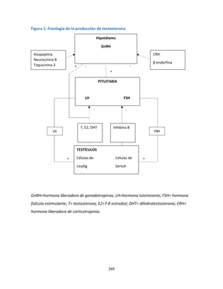 269
Figura 1: Fisiología de la producción de testosterona
GnRH=hormona liberadora de gonadotropinas; LH=hormona luteinizante; FSH= hormona
folículo estimulante; T= testosterona; E2=7-β estradiol; DHT= dihidrotestosterona; CRH=
hormona liberadora de corticotropinas.
Hipotálamo
GnRH
PITUITARIA
LH FSH
T, E2, DHT Inhibina B
CRH
β endorfina
Kisspeptina
Neurocinina B
Taquicinina 3
TESTÍCULOS
Células de Células de
Leydig Sertoli
 