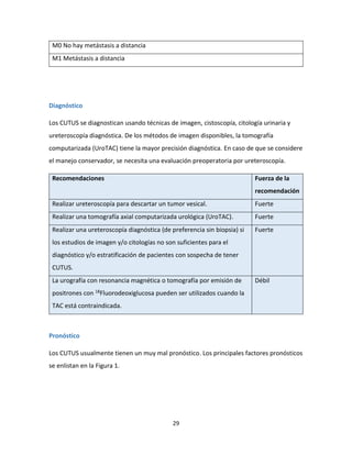 29
M0 No hay metástasis a distancia
M1 Metástasis a distancia
Diagnóstico
Los CUTUS se diagnostican usando técnicas de imagen, cistoscopía, citología urinaria y
ureteroscopía diagnóstica. De los métodos de imagen disponibles, la tomografía
computarizada (UroTAC) tiene la mayor precisión diagnóstica. En caso de que se considere
el manejo conservador, se necesita una evaluación preoperatoria por ureteroscopía.
Recomendaciones Fuerza de la
recomendación
Realizar ureteroscopía para descartar un tumor vesical. Fuerte
Realizar una tomografía axial computarizada urológica (UroTAC). Fuerte
Realizar una ureteroscopía diagnóstica (de preferencia sin biopsia) si
los estudios de imagen y/o citologías no son suficientes para el
diagnóstico y/o estratificación de pacientes con sospecha de tener
CUTUS.
Fuerte
La urografía con resonancia magnética o tomografía por emisión de
positrones con 18Fluorodeoxiglucosa pueden ser utilizados cuando la
TAC está contraindicada.
Débil
Pronóstico
Los CUTUS usualmente tienen un muy mal pronóstico. Los principales factores pronósticos
se enlistan en la Figura 1.
 