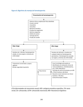 290
Figura 6: Algoritmo de manejo de hematospermia
ETS=Enfermedades de transmisión sexual; APE= antígeno prostático específico; TR= tacto
rectal; US= ultrasonido; USTR= ultrasonido transrectal; RM= Resonancia magnética
Presentación de hematospermia
-Historia clínica y exploración física detallada
-Presión arterial
-Uroanálisis
-Urocultivo
-Biometría hemática
-Pruebas de coagulación
-Química sanguínea
-Análisis de semen
-Tamizaje de ETS
-Prueba de condón
Curar la etiología que pueda ser
identificada con evaluación clínica de
rutina (antibióticos, antiinflamatorios,
etc.), USTR, RM pélvica
Tamizaje de cáncer de próstata con APE
y TR (en hombres ≥40 años)
Descartar tumor testicular con US (en
hombres < 40 años)
Cistouretroscopía ± biopsia
Tratamiento conservador y espera
vigilante
Brindar seguridad al paciente
Hombres de < 40 años, hematospermia
aislada, sin otros signos o síntomas de
enfermedad
Hombres de ≥40 años u hombres de
cualquier edad con hematospermia
persistente, o hematospermia asociada
con signos y síntomas de enfermedad
Alto riesgo
Bajo riesgo
Recurrencia
 