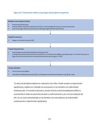 313
Figura 10: Tratamiento médico y quirúrgico del priapismo isquémico
*La dosis de fenilefrina deberá ser reducida en los niños. Puede resultar en hipertensión
significativa y deberá ser utilizada con precaución en los hombres con enfermedad
cardiovascular. El monitoreo del pulso, tensión arterial y electrocardiograma (EKG) se
recomienda en todos los pacientes durante su administración y por una hora después de
ella. Su uso está contraindicado en los hombres con antecedentes de enfermedad
cardiovascular e hipertensión significativa.
 
