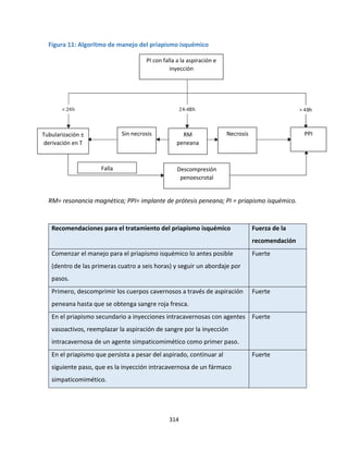 314
Figura 11: Algoritmo de manejo del priapismo isquémico
RM= resonancia magnética; PPI= implante de prótesis peneana; PI = priapismo isquémico.
Recomendaciones para el tratamiento del priapismo isquémico Fuerza de la
recomendación
Comenzar el manejo para el priapismo isquémico lo antes posible
(dentro de las primeras cuatro a seis horas) y seguir un abordaje por
pasos.
Fuerte
Primero, descomprimir los cuerpos cavernosos a través de aspiración
peneana hasta que se obtenga sangre roja fresca.
Fuerte
En el priapismo secundario a inyecciones intracavernosas con agentes
vasoactivos, reemplazar la aspiración de sangre por la inyección
intracavernosa de un agente simpaticomimético como primer paso.
Fuerte
En el priapismo que persista a pesar del aspirado, continuar al
siguiente paso, que es la inyección intracavernosa de un fármaco
simpaticomimético.
Fuerte
PI con falla a la aspiración e
inyección
Tubularización ±
derivación en T
Sin necrosis RM
peneana
Necrosis PPI
Descompresión
penoescrotal
Falla
 