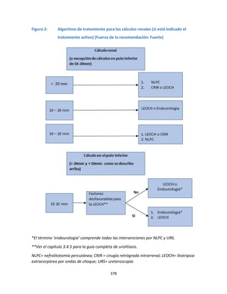 378
Figura 2: Algoritmo de tratamiento para los cálculos renales (si está indicado el
tratamiento activo) (Fuerza de la recomendación: Fuerte)
*El término ‘endourología’ comprende todas las intervenciones por NLPC y URS.
**Ver el capítulo 3.4.5 para la guía completa de urolitiasis.
NLPC= nefrolitotomía percutánea; CRIR = cirugía retrógrada intrarrenal; LEOCH= litotripsia
extracorpórea por ondas de choque; URS= ureteroscopía
Sí
 