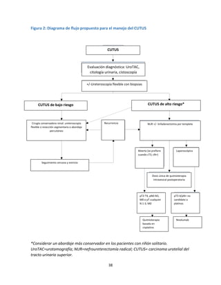 38
Figura 2: Diagrama de flujo propuesto para el manejo del CUTUS
*Considerar un abordaje más conservador en los pacientes con riñón solitario.
UroTAC=urotomografía; NUR=nefroureterectomía radical; CUTUS= carcinoma urotelial del
tracto urinario superior.
CUTUS de alto riesgo*
Evaluación diagnóstica: UroTAC,
citología urinaria, cistoscopía
+/-Ureteroscopía flexible con biopsias
CUTUS de bajo riesgo
Laparoscópica
Recurrencia
Dosis única de quimioterapia
intravesical postoperatoria
Seguimiento cercano y estricto
Cirugía conservadora renal: ureteroscopía
flexible o resección segmentaria o abordaje
percutáneo
CUTUS
NUR +/- linfadenectomía por templete
Abierta (se prefiere
cuando cT3, cN+)
pT2-T4, pN0-N3,
M0 o pT cualquier
N 1-3, M0
pT3-4/pN+ no
candidato a
platinos
Nivolumab
Quimioterapia
basada en
cisplatino
 