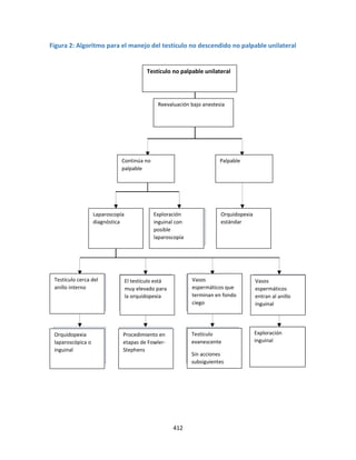 412
Figura 2: Algoritmo para el manejo del testículo no descendido no palpable unilateral
Exploración
inguinal
Continúa no
palpable
Palpable
Reevaluación bajo anestesia
Testículo no palpable unilateral
Exploración
inguinal con
posible
laparoscopía
Laparoscopía
diagnóstica
Orquidopexia
estándar
Vasos
espermáticos
entran al anillo
inguinal
Vasos
espermáticos que
terminan en fondo
ciego
El testículo está
muy elevado para
la orquidopexia
Testículo cerca del
anillo interno
Orquidopexia
laparoscópica o
inguinal
Procedimiento en
etapas de Fowler-
Stephens
Testículo
evanescente
Sin acciones
subsiguientes
 
