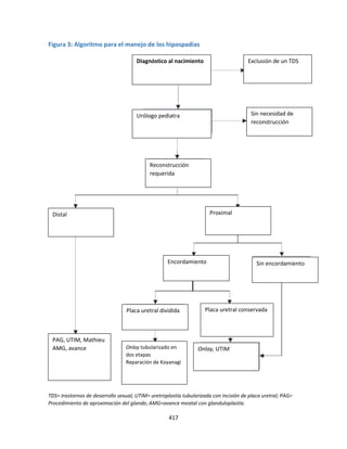417
Figura 3: Algoritmo para el manejo de los hipospadias
TDS= trastornos de desarrollo sexual; UTIM= uretroplastía tubularizada con incisión de placa uretral; PAG=
Procedimiento de aproximación del glande; AMG=avance meatal con glanduloplastía.
Placa uretral conservada
Onlay tubularizado en
dos etapas
Reparación de Koyanagi
Proximal
Urólogo pediatra
Reconstrucción
requerida
Sin necesidad de
reconstrucción
Diagnóstico al nacimiento
PAG, UTIM, Mathieu
AMG, avance
Encordamiento Sin encordamiento
Placa uretral dividida
Onlay, UTIM
Distal
Exclusión de un TDS
 