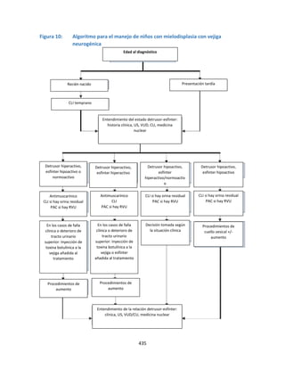 435
Figura 10: Algoritmo para el manejo de niños con mielodisplasia con vejiga
neurogénica
Detrusor hipoactivo,
esfínter
hiperactivo/normoactiv
o
Detrusor hipoactivo,
esfínter hipoactivo
CLI si hay orina residual
PAC si hay RVU
CLI si hay orina residual
PAC si hay RVU
Decisión tomada según
la situación clínica
Procedimientos de
cuello vesical +/-
aumento
En los casos de falla
clínica o deterioro de
tracto urinario
superior: Inyección de
toxina botulínica a la
vejiga o esfínter
añadida al tratamiento
En los casos de falla
clínica o deterioro de
tracto urinario
superior: Inyección de
toxina botulínica a la
vejiga añadida al
tratamiento
Procedimientos de
aumento
Procedimientos de
aumento
Entendimiento de la relación detrusor-esfínter:
clínica, US, VUD/CU, medicina nuclear
Edad al diagnóstico
Recién nacido Presentación tardía
CLI temprano
Entendimiento del estado detrusor-esfínter:
historia clínica, US, VUD, CU, medicina
nuclear
Detrusor hiperactivo,
esfínter hipoactivo o
normoactivo
Detrusor hiperactivo,
esfínter hiperactivo
Antimuscarínico
CLI si hay orina residual
PAC si hay RVU
Antimuscarínico
CLI
PAC si hay RVU
 