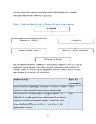 439
reto del manejo de las vías urinarias altas es decidir qué niño deberá ser observado,
manejado médicamente o intervención quirúrgica.
Figura 11: algoritmo diagnóstico para la dilatación del tracto urinario superior
*Se deberá comentar con los cuidadores un abordaje diagnóstico incluyendo CU ya que es
posible que, incluso si se detecta el reflujo, podría no tener ningún impacto clínico. Sin
embargo, deberá ser recordado que el reflujo se ha detectado en hasta 25% de los casos
detectados de forma prenatal. US =ultrasonido.
Recomendaciones Fuerza de la
recomendación
Incluir ultrasonido (US) seriado y nefrografía con diuréticos y a veces
cistouretrografía miccional en las investigaciones postnatales.
Fuerte
Ofrecer profilaxis antibiótica continua al subgrupo de niños con
hidronefrosis prenatal quienes tengan alto riesgo de desarrollar una
infección de vías urinarias como los niños no circuncidados, niños
diagnosticados con hidroureteronefrosis e hidronefrosis de alto
grado, respectivamente.
Débil
US postnatal
Dilatación (uni o bilateral) Sin dilatación
Repetir el US después de 4 semanas
Cistouretrografía miccional (CU)
Nefrografía con diurético
 