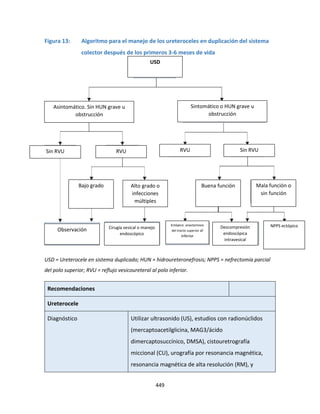 449
Figura 13: Algoritmo para el manejo de los ureteroceles en duplicación del sistema
colector después de los primeros 3-6 meses de vida
USD = Ureterocele en sistema duplicado; HUN = hidroureteronefrosis; NPPS = nefrectomía parcial
del polo superior; RVU = reflujo vesicoureteral al polo inferior.
Recomendaciones
Ureterocele
Diagnóstico Utilizar ultrasonido (US), estudios con radionúclidos
(mercaptoacetilglicina, MAG3/ácido
dimercaptosuccínico, DMSA), cistouretrografía
miccional (CU), urografía por resonancia magnética,
resonancia magnética de alta resolución (RM), y
USD
Asintomático. Sin HUN grave u
obstrucción
Sintomático o HUN grave u
obstrucción
Observación Cirugía vesical o manejo
endoscópico
NPPS ectópico
Ectópico: anastomosis
del tracto superior al
inferior
Descompresión
endoscópica
intravesical
Sin RVU RVU Sin RVU
RVU
Bajo grado Alto grado o
infecciones
múltiples
Mala función o
sin función
Buena función
 