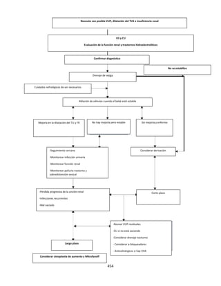 454
Neonato con posible VUP, dilatación del TUS e insuficiencia renal
US y CU
Evaluación de la función renal y trastornos hidroelectrolíticos
Confirmar diagnóstico
Drenaje de vejiga
No se estabiliza
Cuidados nefrológicos de ser necesarios
Ablación de válvulas cuando el bebé esté estable
Mejoría en la dilatación del TU y FR No hay mejoría pero estable Sin mejoría y enfermo
-Seguimiento cercano
-Monitorear infección urinaria
-Monitorear función renal
-Monitorear poliuria nocturna y
sobredistensión vesical
-Revisar VUP residuales
-CLI si no está vaciando
-Considerar drenaje nocturno
- Considerar α bloqueadores
- Anticolinérgicos si hay VHA
-Pérdida progresiva de la unción renal
-Infecciones recurrentes
-Mal vaciado
Corto plazo
Considerar derivación
Largo plazo
Considerar cistoplastía de aumento y Mitrofanoff
 