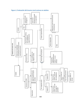 469
Figura 1: Evaluación del trauma renal contuso en adultos
Exploración
renal
(reconstrucción
o
nefrectomía)
Lesión
renal
(hematoma
pulsátil
o
en
expansión)
TAC
multifásica
con
imágenes
tardías
Lesión
por
desaceleración
rápida
o
lesiones
mayores
asociadas
Observación
Estable
Observación,
reposo,
series
de
Hto
según
la
gravedad
Sin
sangrado
activo
Grado
1-3
Grados
4-5*
Catéter
doble
J
o
drenaje
Fuga
urinaria
persistente
Repetir
estudios
de
imagen
Observación,
reposo,
series
de
Hto,
antibióticos
Hemorragia
activa/blush
Grado
5
(penetrante)
Falla
AES
no
disponible
Hematuria
visible
Hematuria
no
visible
Laparotomía
de
emergencia
Inestable
Falla
Sospecha
de
trauma
renal
Reanimación
continua,
TAC
multifásica
y
angioembolización
Determinar
estabilidad
hemodinámica
después
de
la
reanimación
primaria
Angiografía
y
angioembolización
(repetir
si
no
es
exitosa)
 