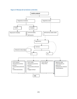 472
Figura 2: Manejo de las lesiones ureterales
Lesión ureteral
Tercio superior
*Anastomosis termino-
terminal
*Transureteroureterosto
mía
*Ureterocalicostomía
Tercio medio
*Anastomosis termino-
terminal
*Transureteroureterosto
mía
*Colgajo de Boari
Diagnóstico tardío
Diagnóstico inmediato
Reparación inmediata Control de daños
Nefrostomía
Nefrostomía/ catéter doble
J
Seguimiento
Estenosis
Dilatación endourológica
Sí
Falla
Inestable
Estable
No
Tercio inferior
*Psoas Hitch
Segmento largo:
*Uretroplastía con
injerto oral
*Interposición intestinal
*Autotrasplante
 