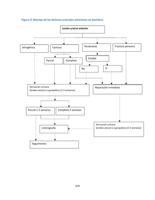 479
Figura 3: Manejo de las lesiones uretrales anteriores en hombres
Lesión uretral anterior
Iatrogénica
Derivación urinaria
Sondeo vesical o suprapúbico (2-3 semanas)
Derivación urinaria
Sondeo vesical o suprapúbico (2-3 semanas)
Completa 3 semanas
Parcial 1-2 semanas
Uretrografía
Seguimiento
Reparación inmediata
Fractura peneana
Penetrante
Contusa
Parcial Completa
Estable
Sí
No
 