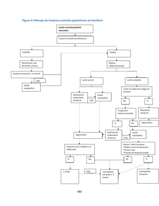 480
Figura 4: Manejo de lesiones uretrales posteriores en hombres
Uretroplastía
temprana
Falla
Falla
Falla
Sí
Sí
Falla
Sí
Sí No No
No
No
Sonda
suprapúbica
Sonda
suprapúbica
Sonda
suprapúbica
Seguimiento
Seguimiento
Realineación
endoscópica
temprana
Realineación
endoscópica
temprana
Cirugía para
lesiones asociadas
Reparación
temprana
Lesión al cuello de la vejiga y/o
próstata
Estenosis corta, endeble y no
obliterante
Realizar
UGR/uretroscopía
Lesión parcial Lesión completa
Estable
Inestable
Reanimación más
derivación urinaria
Sondeo transuretral, un intento
Lesión uretral posterior
masculina
Evaluar el estado hemodinámico
Evaluar 2 días-6 semanas
*Defecto corto de distracción
*Periné suave
*Posición de litotomía posible
Uretroplastía
retrasada (> 3
meses)
1 UTIVD
 