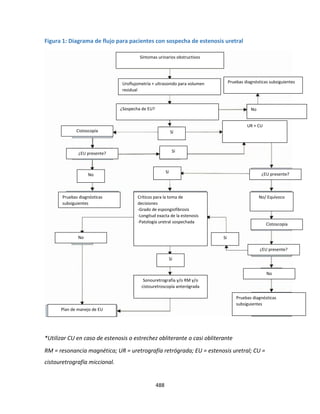 488
Figura 1: Diagrama de flujo para pacientes con sospecha de estenosis uretral
*Utilizar CU en caso de estenosis o estrechez obliterante o casi obliterante
RM = resonancia magnética; UR = uretrografía retrógrada; EU = estenosis uretral; CU =
cistouretrografía miccional.
Síntomas urinarios obstructivos
Uroflujometría + ultrasonido para volumen
residual
Pruebas diagnósticas subsiguientes
¿Sospecha de EU? No
Cistoscopía
¿EU presente?
¿EU presente?
¿EU presente?
Cistoscopía
No/ Equívoco
No
Plan de manejo de EU
Sonouretrografía y/o RM y/o
cistouretroscopía anterógrada
No
Pruebas diagnósticas
subsiguientes
Sí
Sí
Sí
Sí
No
Sí
Pruebas diagnósticas
subsiguientes
UR + CU
Críticos para la toma de
decisiones
-Grado de espongiofibrosis
-Longitud exacta de la estenosis
-Patología uretral sospechada
 