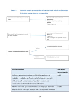 500
Figura 2: Opciones para la reconstrucción del tracto urinario bajo de la obstrucción
(estenosis) uretral posterior no traumática
Recomendaciones Fuerza de la
recomendación
Realizar re-anastomosis vesicouretral (AVU) en pacientes no
irradiados e irradiados con función vesical adecuada y estenosis
obliterante de la anastomosis vesicouretral o anastomosis
vesicouretral resistente a tratamiento endoscópico.
Débil
Advertir al paciente que la incontinencia urinaria (IU) es inevitable
después de la re-AVU y que la cirugía anti IU subsiguiente podría ser
Fuerte
Estenosis de la anastomosis vesicouretral
(EAVU)
Reconstrucción de la anastomosis
vesicouretral:
-Abdominal (abierta o robótica)
-Perineal
-Abdominoperineal
Estenosis del cuello vesical o estenosis de
la uretra prostática
Reconstrucción del cuello vesical:
-Plastía Y-V
-Plastía en T
-inlay bajo trígono con injerto de mucosa
oral
EAP y uretroplastía de aumento
Uretroplastía de aumento
Estenosis uretral bulbomembranosa (EBM)
<2.5cm
>2.5cm
 