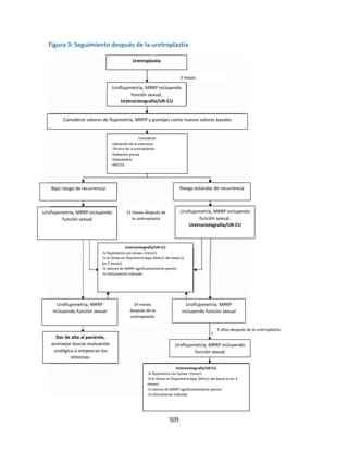 509
Figura 3: Seguimiento después de la uretroplastía
Uretroplastía
Uroflujometría, MRRP incluyendo
función sexual,
Uretrocistografía/UR-CU
Uroflujometría, MRRP incluyendo
función sexual
Uroflujometría, MRRP incluyendo
función sexual,
Uretrocistografía/UR-CU
Uretrocistografía/UR-CU
-Si flujometría con Qmax <15mL/s
-Si el Qmax en flujometría baja 10mL/s del basal (a los 3
meses)
-Si valores de MRRP significativamente peores
-Si clínicamente indicado
Considerar
-Ubicación de la estenosis
-Técnica de a uretroplastía
-Radiación previa
-Hipospadias
-BXO/LE
Uretrocistografía/UR-CU
-Si flujometría con Qmax <15mL/s
-Si el Qmax en flujometría baja 10mL/s del basal (a
los 3 meses)
-Si valores de MRRP significativamente peores
-Si clínicamente indicado
Bajo riesgo de recurrencia Riesgo estándar de recurrencia
Uroflujometría, MRRP
incluyendo función sexual
Uroflujometría, MRRP
incluyendo función sexual
Uroflujometría, MRRP incluyendo
función sexual
Dar de alta al paciente,
aconsejar buscar evaluación
urológica si empeoran los
síntomas.
12 meses después de
la uretroplastía
24 meses
después de la
uretroplastía
5 años después de la uretroplastía
Considerar valores de flujometría, MRPP y puntajes como nuevos valores basales
3 meses
 