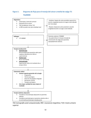 52
Figura 1: Diagrama de flujo para el manejo del cáncer urotelial de vejiga T2-
T4aN0M0
TAC=tomografía axial computarizada; RM= resonancia magnética; TUS= tracto urinario
superior
Hallazgos
 cT2-4N0M0
Diagnóstico
 Cistoscopía y resección tumoral
 Evaluación de la uretra1
 TAC de abdomen, tórax, TUS
 La RM se puede usar para estadiaje local
Pacientes selectos cT2N0M0
-Se puede ofrecer la terapia trimodal de
conservación de vejiga para pacientes
apropiadamente selectos.
Terapia neoadyuvante
 Quimioterapia
Recomendada para pacientes aptos para
cisplatino (beneficio de 5-8% en
supervivencia)
 Radioterapia
No se recomienda
 Inmunoterapia
Experimental, sólo en el contexto de un
ensayo clínico
Cistectomía radical
 Conocer aspectos generales de la cirugía
o Preparación
o Técnica quirúrgica
o Disección de ganglios integrada
o Derivación urinaria
o Tiempos quirúrgicos
 Una mayor cantidad de casos mejora el
resultado
Terapia sistémica adyuvante
 Considerar inmunoterapia adyuvante en pacientes
selectos
 Considerar quimioterapia en pacientes selectos sólo si
no se brindó quimioterapia neoadyuvante
- Hombres: biopsia de uretra prostática apical de la
sección congelada durante la cirugía si está indicado
(ver más abajo)
- Mujeres: biopsia de uretra proximal o sección
congelada durante la cirugía si está indicado
 