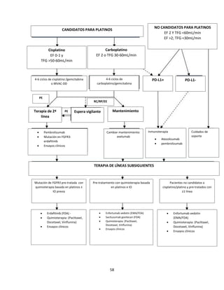 58
NO CANDIDATOS PARA PLATINOS
EF 2 Y TFG <60mL/min
EF >2; TFG <30mL/min
PD-L1+ PD-L1-
Espera vigilante Mantenimiento
TERAPIA DE LÍNEAS SUBSIGUIENTES
Cisplatino
EF 0-1 y
TFG >50-60mL/min
Carboplatino
EF 2 o TFG 30-60mL/min
 Pembrolizumab
 Mutación en FGFR3:
erdafitinib
 Ensayos clínicos
Inmunoterapia
 Atezolizumab
 pembrolizumab
Cuidados de
soporte
Cambiar mantenimiento:
avelumab
4-6 ciclos de
carboplatino/gemcitabina
4-6 ciclos de cisplatino /gemcitabina
o MVAC-DD
PE
PE
RC/RP/EE
CANDIDATOS PARA PLATINOS
Terapia de 2ª
línea
Mutación de FGFR3 pre-tratada con
quimioterapia basada en platinos ±
IO previa
 Erdafitinib (FDA) -
 Quimioterapia: (Paclitaxel,
Docetaxel, Vinflunina)
 Ensayos clínicos
Pre-tratamiento con quimioterapia basada
en platinos e IO
 Enfortumab vedotin (EMA/FDA)
 Sacituzumab govitecan (FDA)
 Quimioterapia: (Paclitaxel,
Docetaxel, Vinflunina)
 Ensayos clínicos
Pacientes no candidatos a
cisplatino/platino y pre-tratados con
≥1 línea
 Enfortumab vedotin
(EMA/FDA)
 Quimioterapia: (Paclitaxel,
Docetaxel, Vinflunina)
 Ensayos clínicos
 