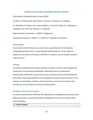 60
GUÍAS DE LA EAU SOBRE CARCINOMA URETRAL PRIMARIO
(Actualización limitada de texto en marzo 2023)
G. Gakis, J.A. Witjes (Jefe), H.M. Bruins, A. Carrión, R. Cathomas, E. Compérat,
J.A. Efstathiou, R. Fietkau, A.G. van der Heijden, A. Lorch, R.P. Meijer, M.I. Milowsky, V.
Panebianco, M. Rink, G.N. Thalmann, E. Veskimäe
Representantes de pacientes: J. Redlef, S. Sæbjørnsen
Asociados de las guías: A. Martini, L.S. Mertens, Y. Neuzillet, M. Rouanne
Epidemiología
El Carcinoma Uretral Primario es un cáncer raro, representando <1% de todas las
malignidades genitourinarias. La tasa estandarizada por edad es 1.1 por millón de
habitantes (1.6/millón en hombres y 0.6/millón en mujeres, con una relación hombre a
mujer de 2.9:1).
Etiología
Los factores predisponentes incluyen estenosis uretrales, irritación crónica después de
cateterismos intermitentes/uretroplastía, radioterapia externa, implantes de
braquiterapia, inflamación uretral crónica como consecuencia de las enfermedades de
transmisión sexual (especialmente virus de papiloma humano) y liquen escleroso. En las
mujeres, los divertículos uretrales e infecciones de vías urinarias recurrentes se han
asociado con el desarrollo del carcinoma uretral primario.
Estadiaje y sistemas de graduación
Se utiliza la clasificación de TNM 2017 (8ª edición) para el estadiaje del carcinoma uretral.
Nótese que existe un sistema separado de estadiaje para el carcinoma urotelial de la
uretra prostática.
T- Tumor Primario
 