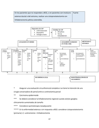 67
En los pacientes que no respondan a BCG, o en pacientes con involucro
extenso ductal o del estroma, realizar una cistoprostatectomía con
linfadenectomía pélvica extendida.
Fuerte
* Asegurar una evaluación circunferencial completa si se tiene la intención de una
cirugía conservadora de pene/uretra o uretrectomía parcial
** Carcinoma epidermoide
*** Se deberá considerar la linfadenectomía regional cuando existan ganglios
clínicamente aumentados de tamaño
**** Considerar quimioterapia neoadyuvante
***** En la enfermedad extensa o sin respuesta a BCG: considerar cistoprostatectomía
(primaria) +/- uretrectomía + linfadenectomía
 