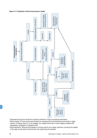 18	 UROLOGICAL TRAUMA - LIMITED UPDATE MARCH 2015
Figure 4.1.1: Evaluation of blunt renal trauma in adults
* Suspected renal trauma results from reported mechanism of injury and physical examination.
† Renal imaging: CT scans are the gold standard for evaluating blunt and penetrating renal injuries in stable
patients. In settings where CT is not available, the urologist should rely on other imaging modalities (IVP,
angiography, radiographic scintigraphy, MRI).
‡ Renal exploration: Although renal salvage is a primary goal for the urologist, decisions concerning the viability
of the organ and the type of reconstruction are made during the operation.
Suspectedadultblunt
renaltrauma*
Determinehaemodynamicstability
Stable
Visiblehaematuria
Contrastenhanced
spiralCTscanwith
delayedimages†
Grade1-2
parenchymal
Angiography
andselective
angioembolisationAngiography
andselective
angioembolisation
Observation,
bedrest,
serialHt,
antibiotics
Associatedinjuriesrequiringlaparotomy
Grade3
Observation,
bedrest,
serialHt,
antibiotics
Grade4-5
Vascular
NormalIVP
AbnormalIVP,Pulsatile
orexpandinghaematoma
Renalexploration
(reconstructionor
nephrectomy)‡
Non-visiblehaematuria
Rapiddeceleration
injuryor
majorassociatedinjuries
Emergencylaparotomy/One-shotIVP
Unstable
ObservationObservation
 